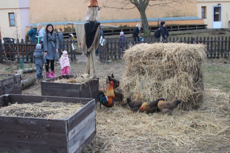 toulcuv-dvur-ekologicke-centrum-a-farma